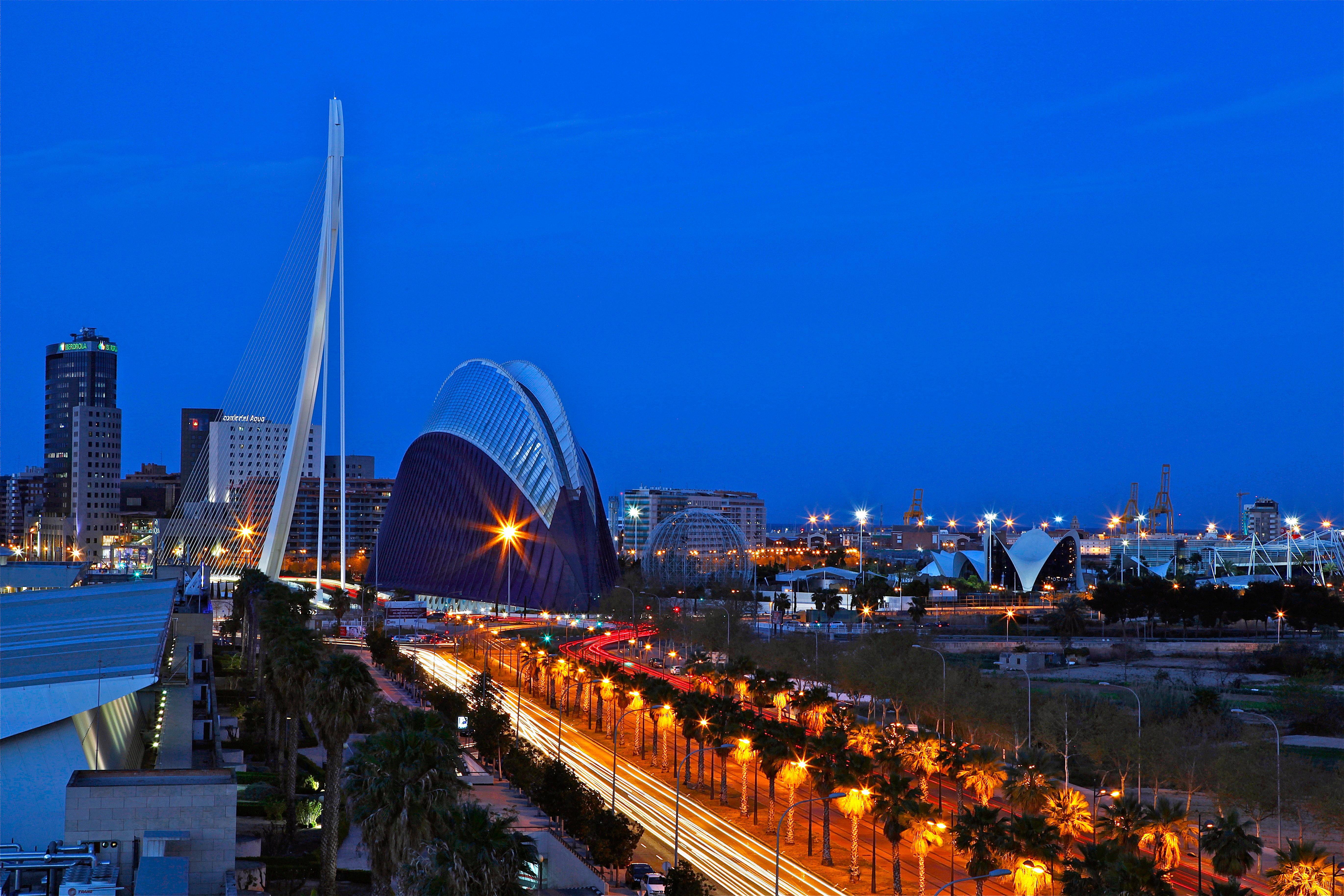 Holiday Inn Express Ciudad De Las Ciencias, An Ihg Hotel Walencja Zewnętrze zdjęcie